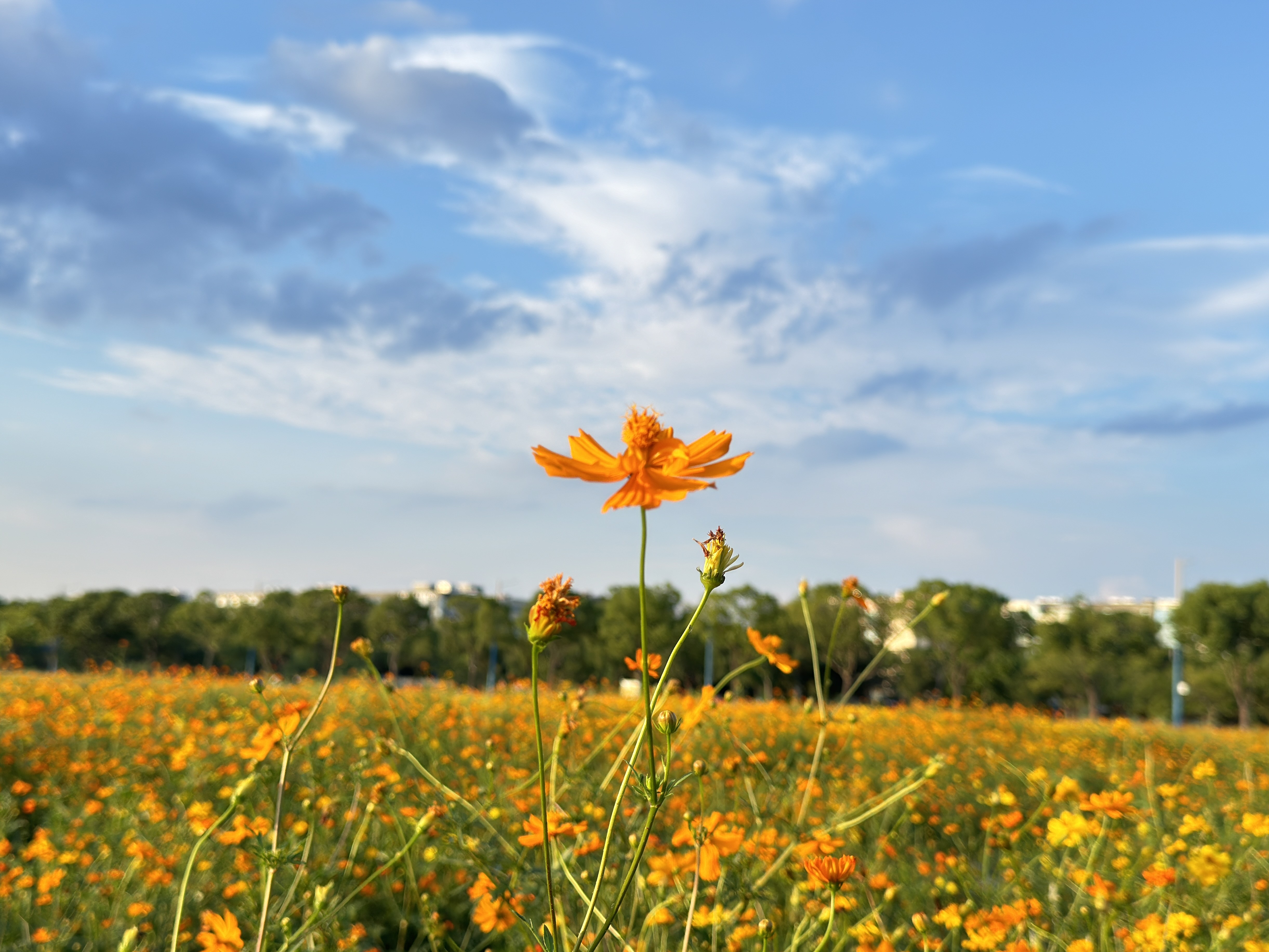 10.3（诶呀，不小心失焦了）