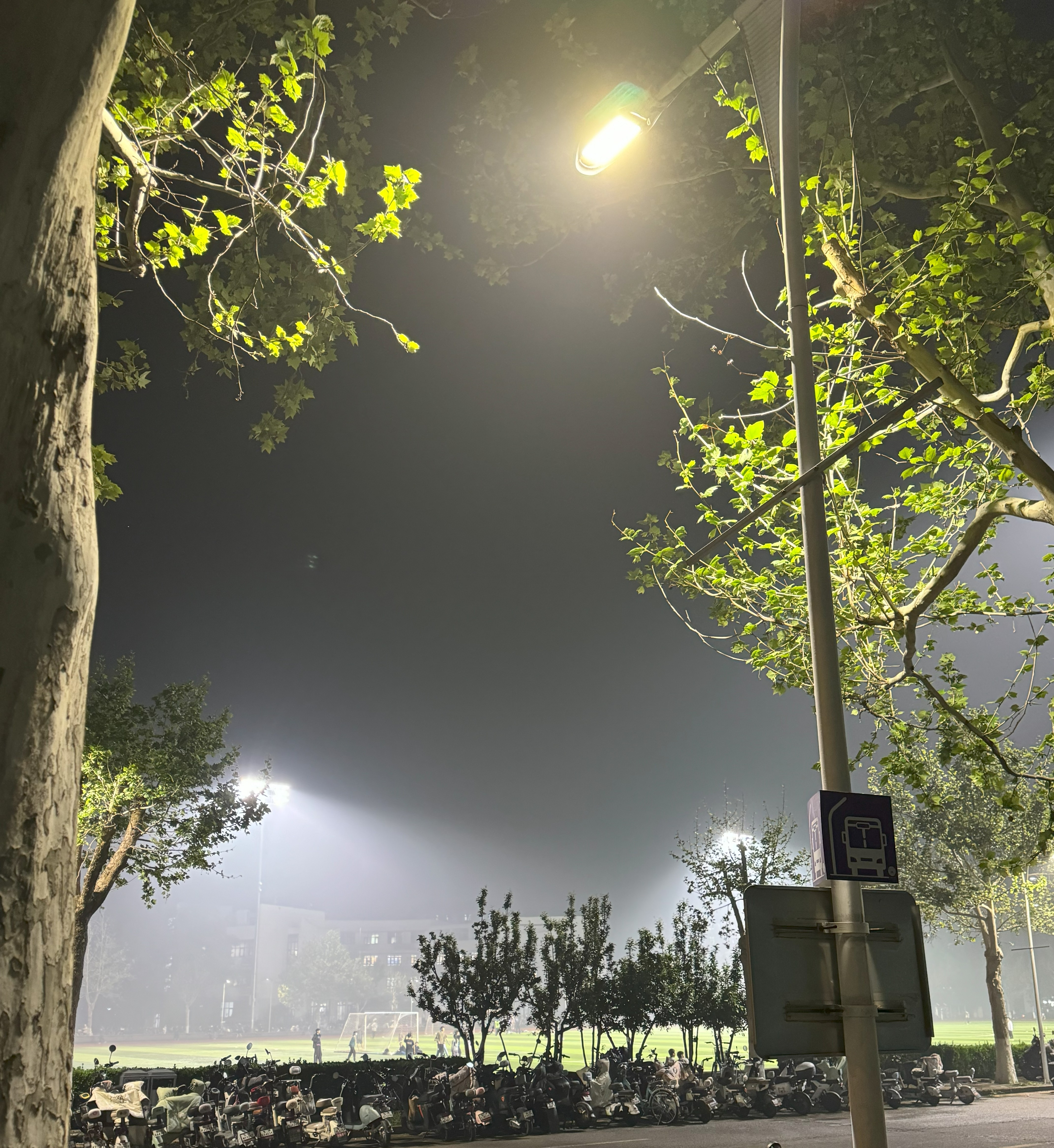 4.21 晚上 紫操