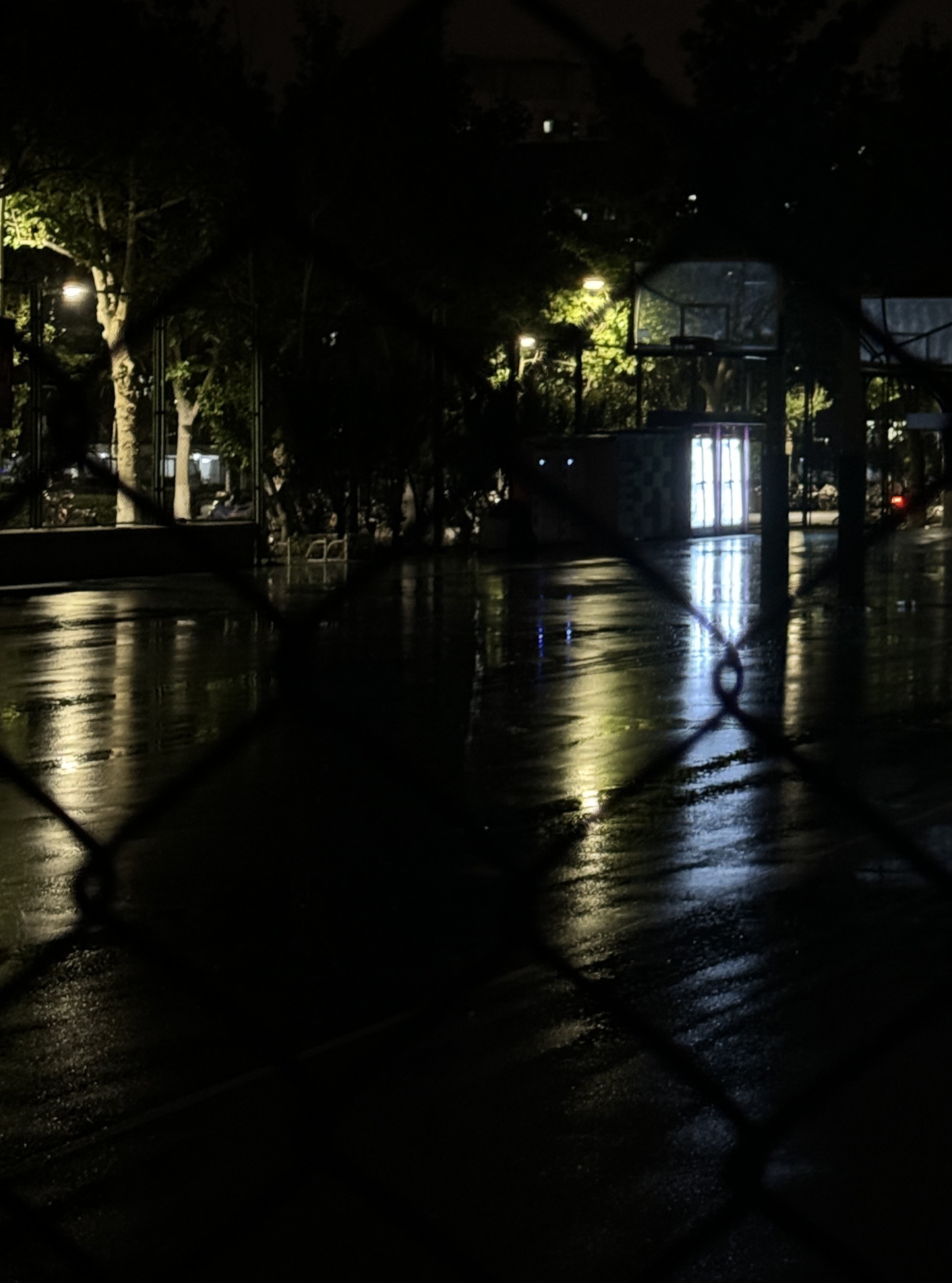 5.4 深夜 紫操篮球场