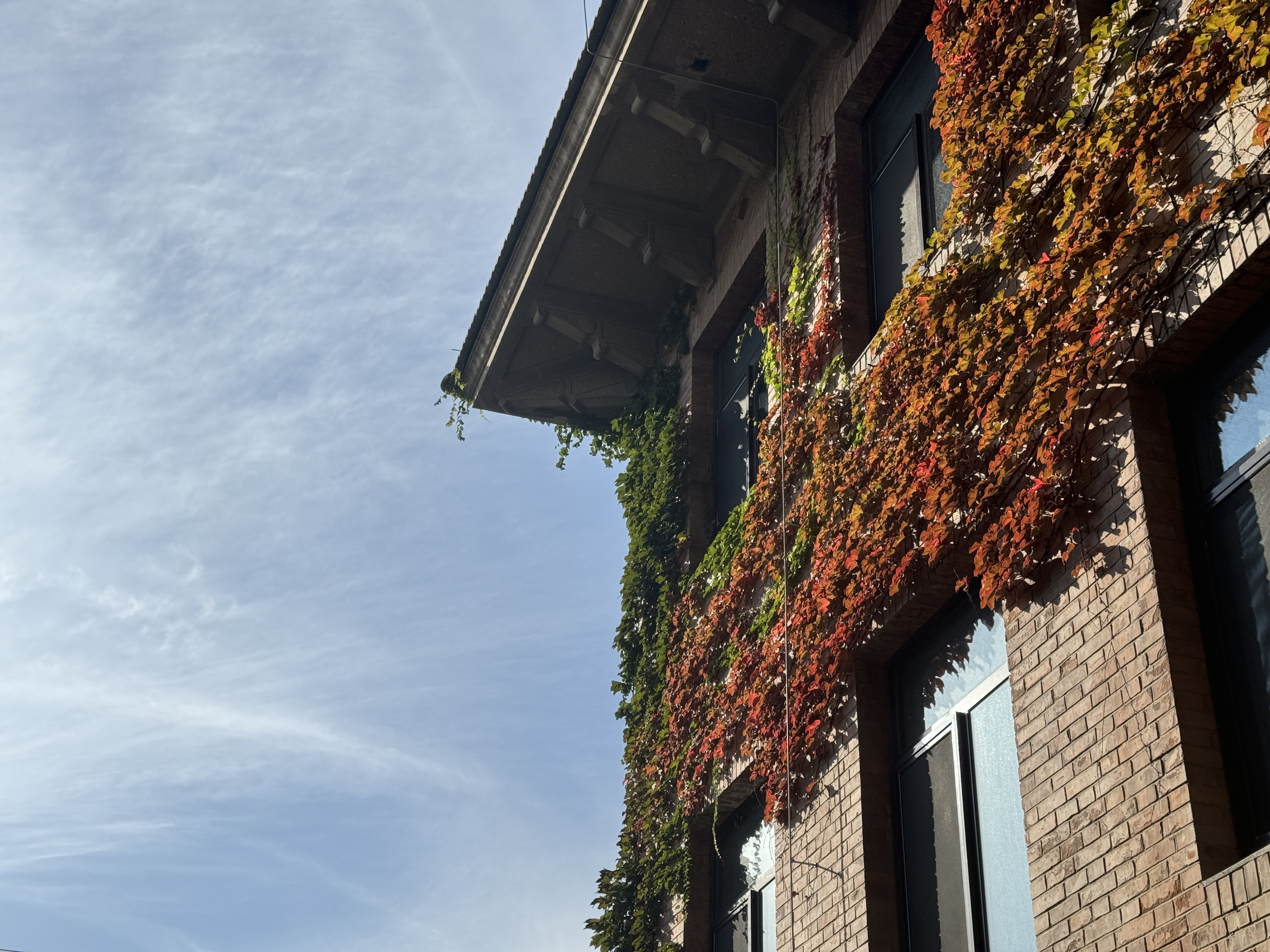 9.28 下午 文西楼