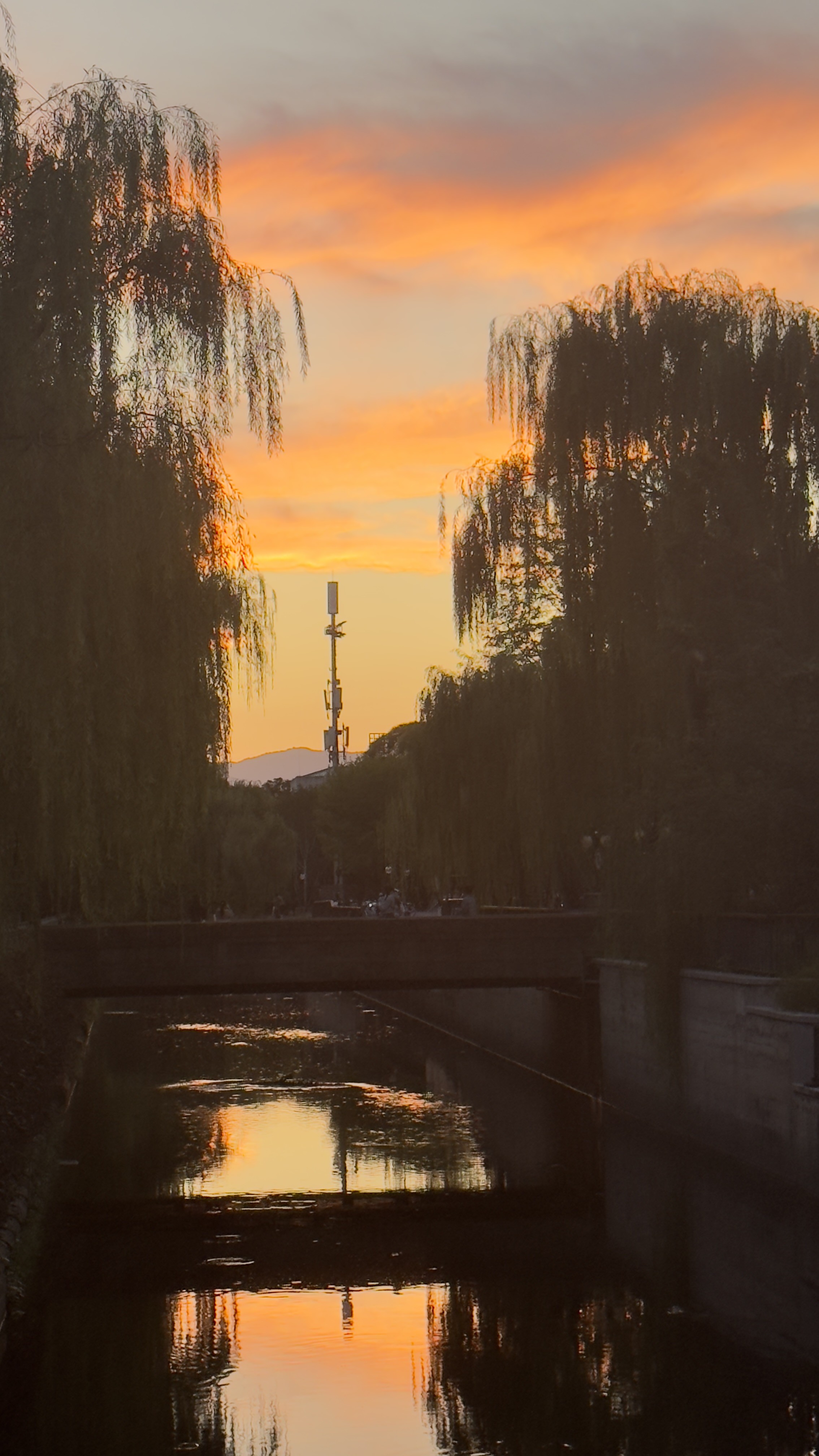 9.28 傍晚 大礼堂北侧桥