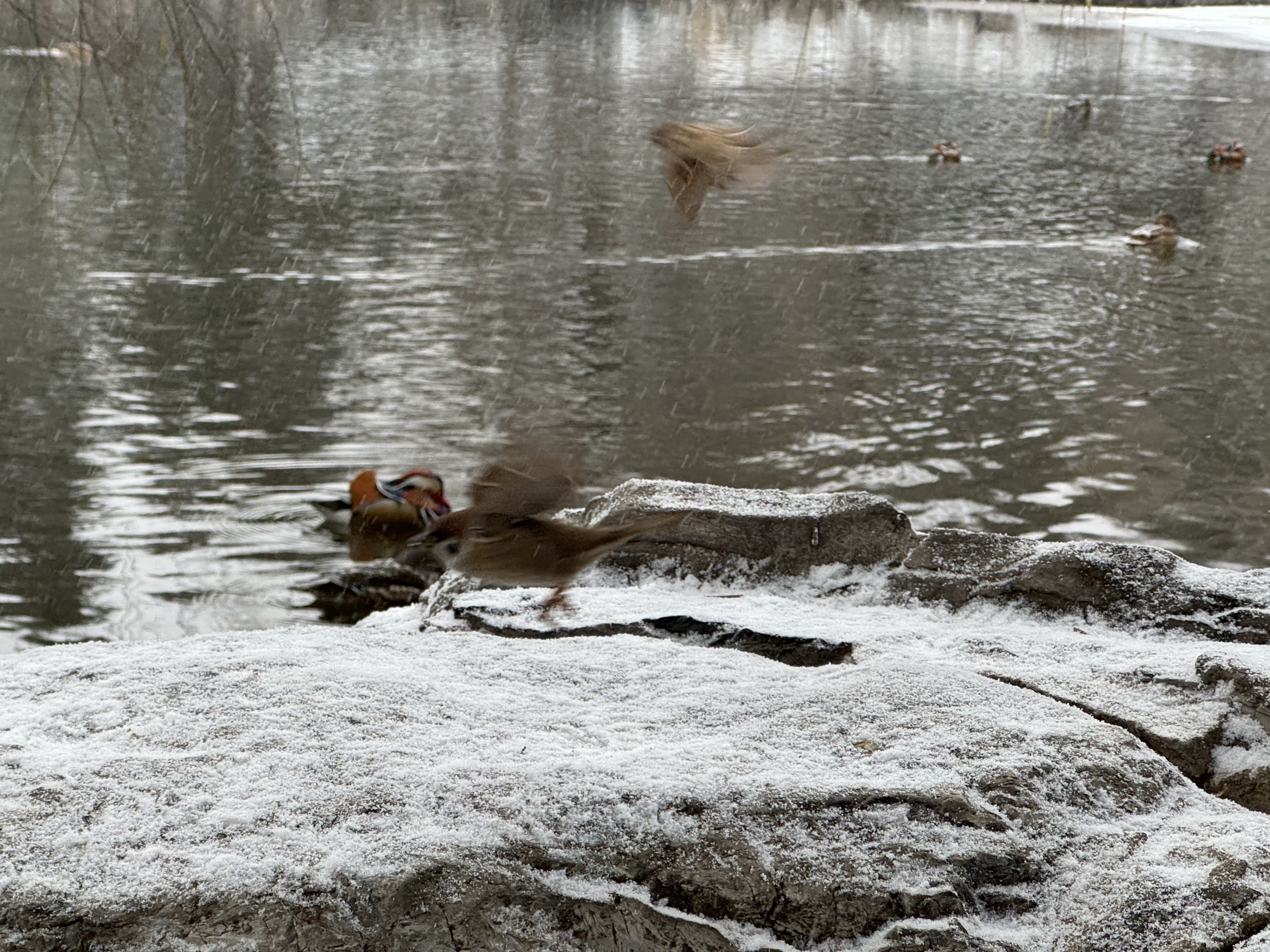 12.13 下午 水木清华