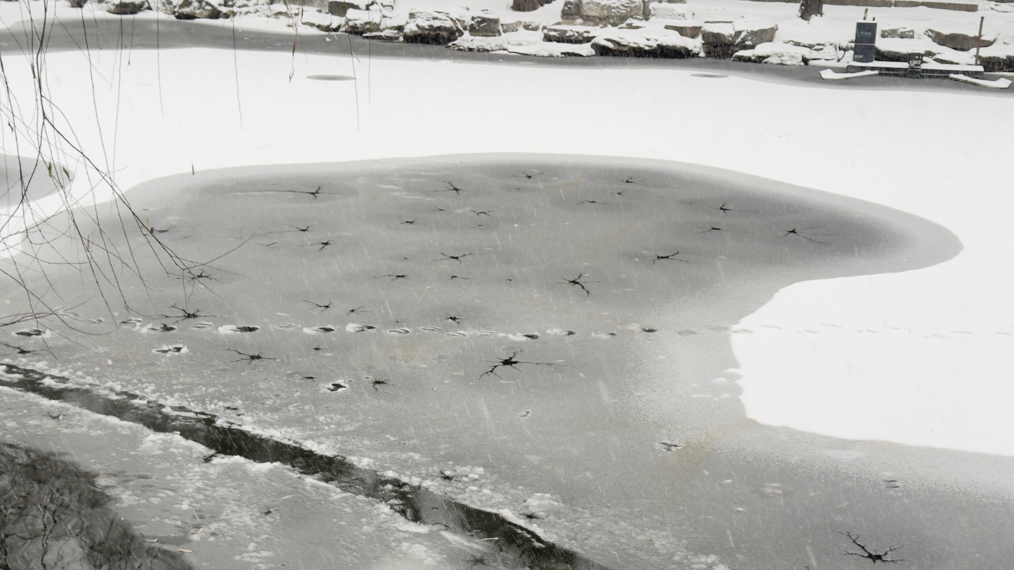 12.13 下午 近春园